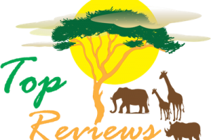 400_filter_nobg_64ba2cc8b634e